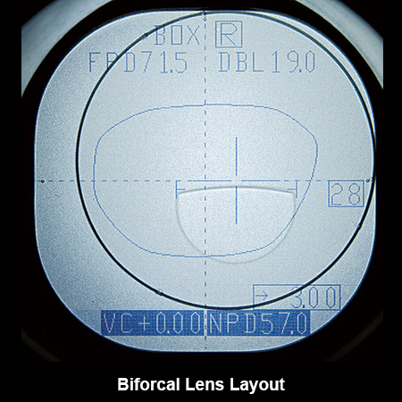 Biforcal Lens Layout